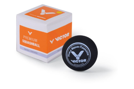 Victor Squashball