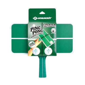 Schildkröt Ping Pong Challange