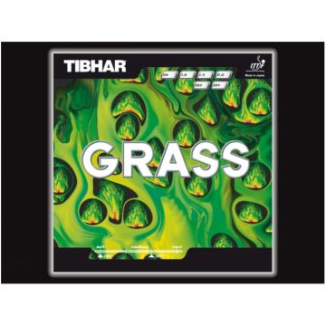 Tibhar Grass
